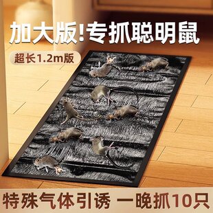 麦德龙粘鼠板捉粘大老鼠贴沾胶抓灭鼠捕鼠神器超强家用一窝端老鼠