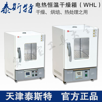 WHL-65B电热恒温m干燥箱泰斯特实验室烘箱立式工业烤箱老化箱