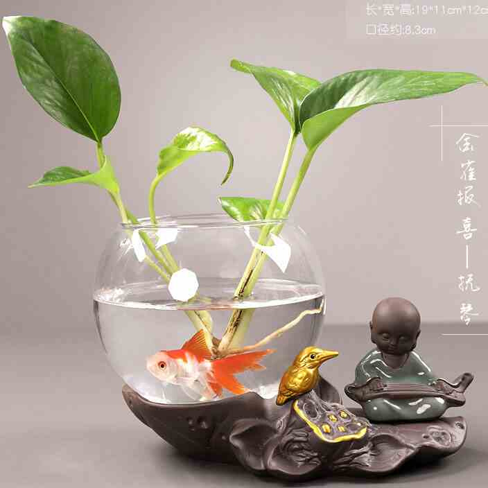 极速z创意绿萝水培植物玻璃透明养花花瓶插O花容器花盆器皿桌面装