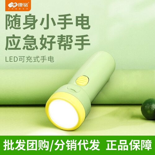 8951手电筒儿童学生户外家用照明LED可充电式塑料手电筒