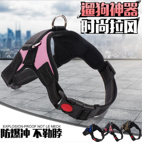 Собачья тяга веревка Золотые волосы Labrado Bound Bess Small Dogs Walking Dog wating Dog веревка для собак цепи собаки