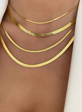 跨境爆品钛钢扁蛇骨链女短项链不锈钢金色刀片链条颈链中性配饰