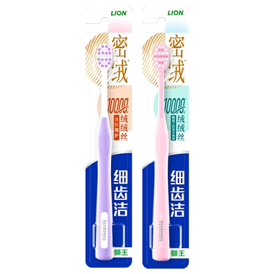 LION狮王清洁牙齿成人