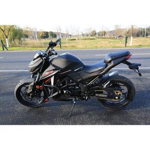 200CC电喷国四成人燃油摩托车大蟒蛇摩托车大盘碟刹越野车跑车