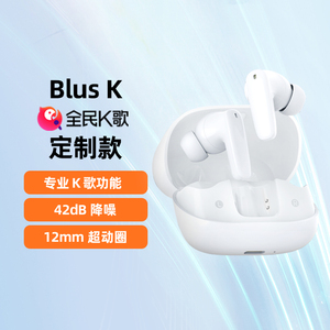 魅蓝魅族blus K主动降噪K歌耳机真无线新品通用续航背单词入耳式