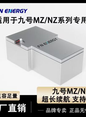适用九号Nzmix/Fz/Mzmix电动车锂电池60V72v120AH宁德三元大单体