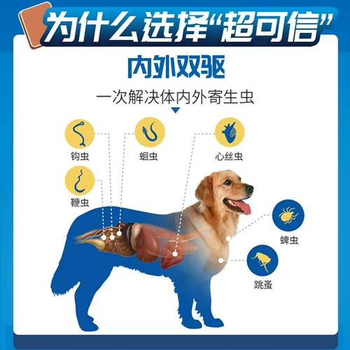 Super Ixgard Pet Dog S Dewerming Medicine внутри и снаружи такого же вождения XL Tick Flea M Large и Dog со средним размером