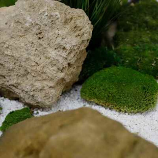 decoration 极速Artificial softE plant green landscape