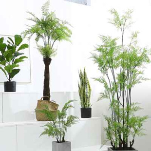 plannt soft 极速Artificial landscape plant decoration green