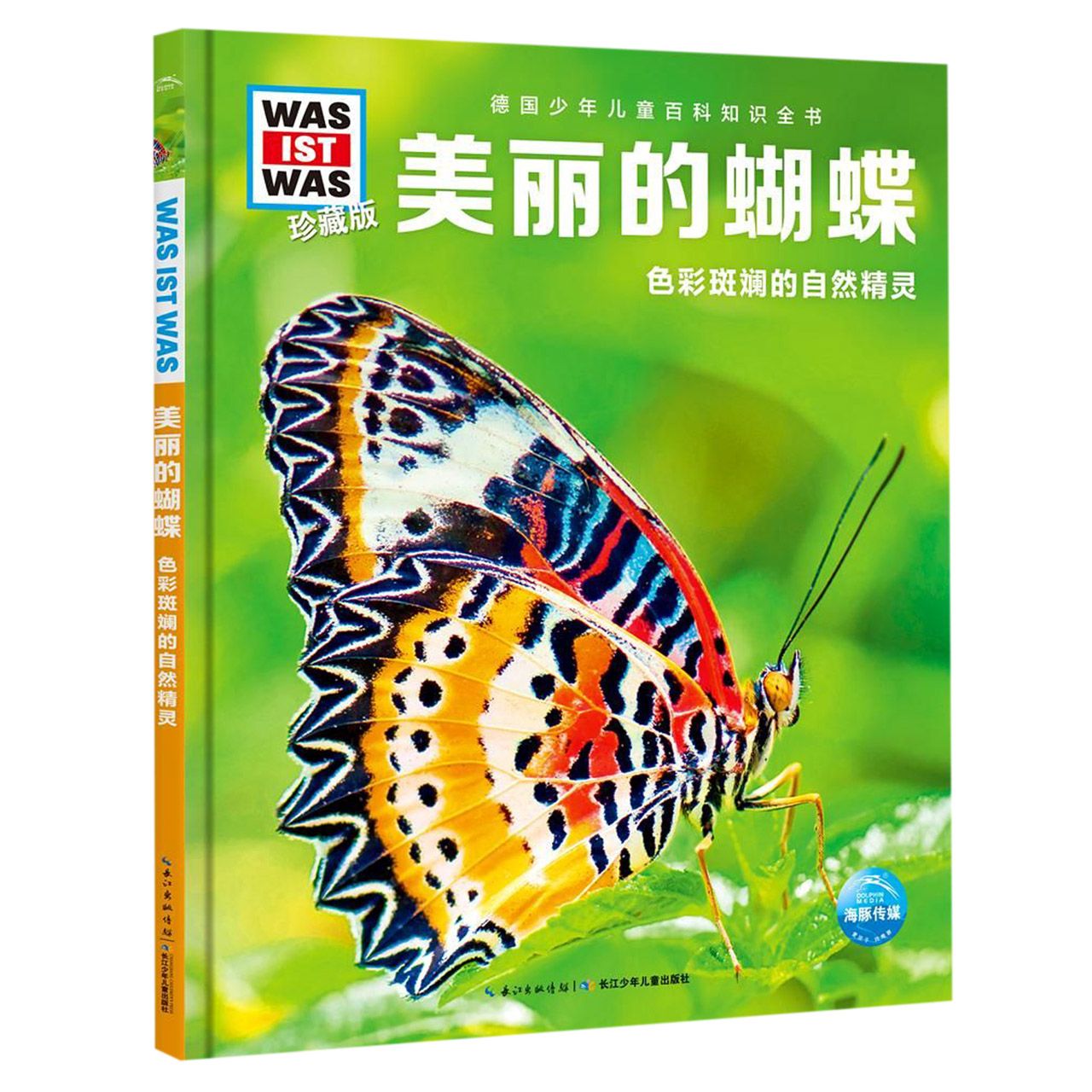 美丽的蝴蝶 色彩斑斓的自然精灵珍藏版 精装 德国少年儿童百科知识全书 让孩子放眼看世界 放手去探索 各种各样的蝴蝶