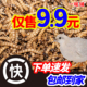 大麦虫活虫鲜活面包虫黄粉虫仓鼠蜥蜴守宫饲料粮食活体高蛋白虫子