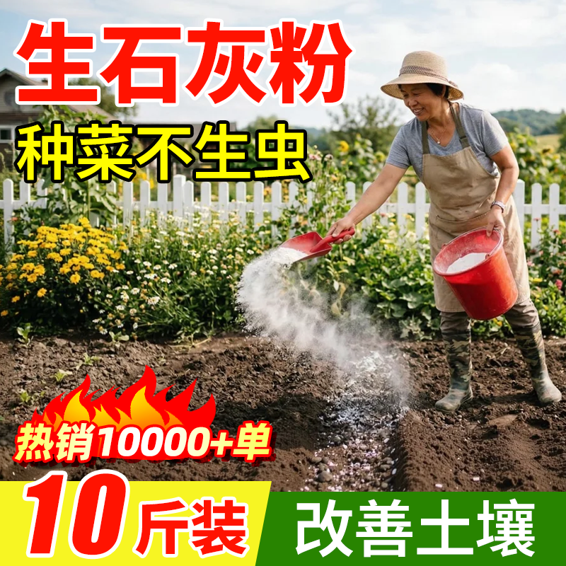 生石灰粉杀虫种菜蔬菜杀虫剂菜虫辣椒植物青菜虫药非无毒菜园专用
