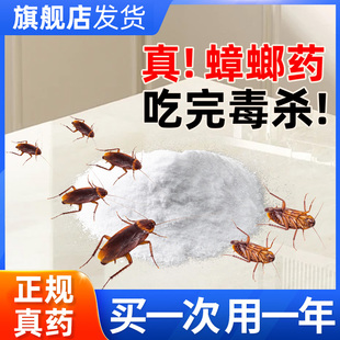 官方旗舰店 蟑螂药灭蟑螂神器杀蟑螂脏螂药非全窝端家用非无毒正品