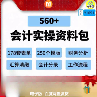 会计实操资料包excel模版 财务分析核算表格文件汇算资源分录word