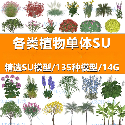 各种植物树木配景花草花卉灌乔木园林景观植物纲目科属SU模型合集
