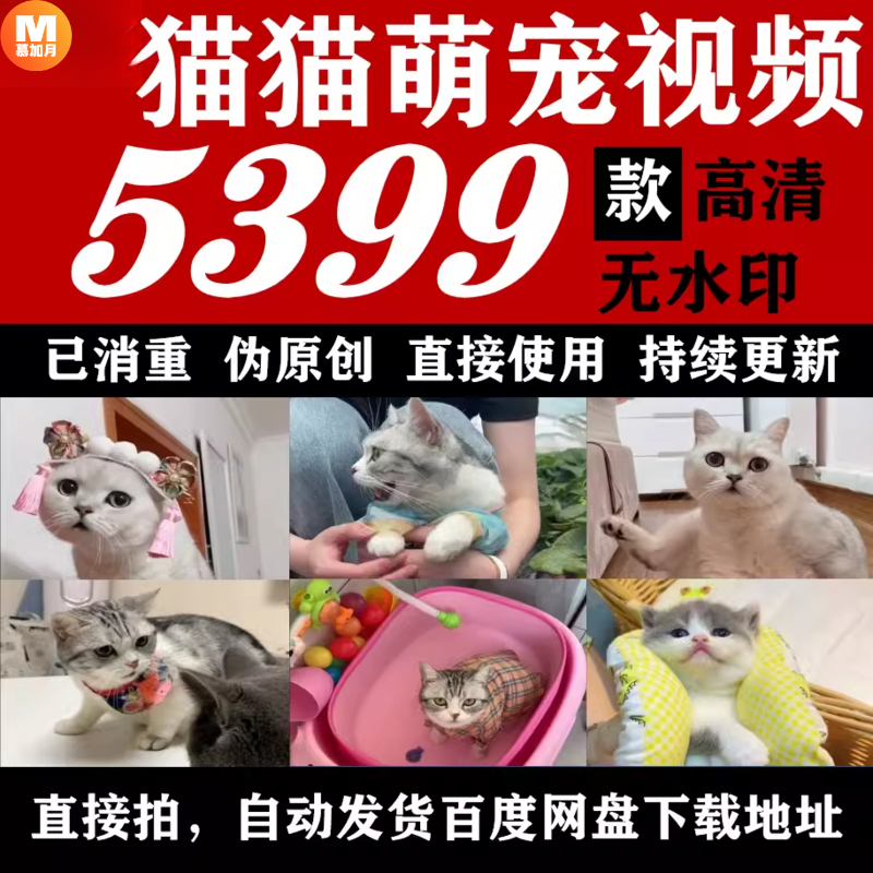 此商品为电子版资料，下单即发百度网盘