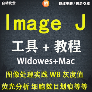 荧光计数安装 ImageJ win灰度分析 image 包远程视频教程 j软件mac