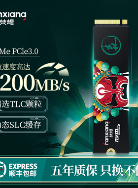 梵想S500PROm2固态硬盘1t2t512g笔记本台式电脑ssd硬盘固态nvme