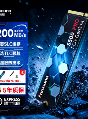 梵想S500PCIE3固态硬盘1T笔记本