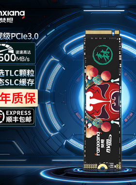 梵想S500PROm2固态硬盘1t2t512g台式机笔记本电脑ssd硬盘固态nvme