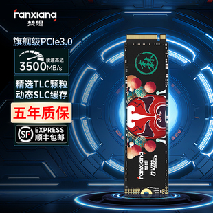 梵想S500PROm2固态硬盘1t2t512g台式 机笔记本电脑ssd硬盘固态nvme