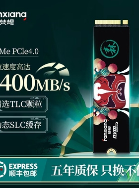 梵想S790m2固态硬盘1tb2t4t笔记本台式电脑ssd硬盘ps5固态PCie4