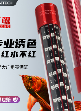 2代龙鱼灯鱼缸灯LED防水潜水照明灯龙鱼专用灯增色增艳水族观赏鱼