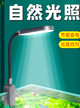 鱼缸灯led灯防水小型夹灯全光谱爆藻水草灯水族箱小夜照明观赏灯