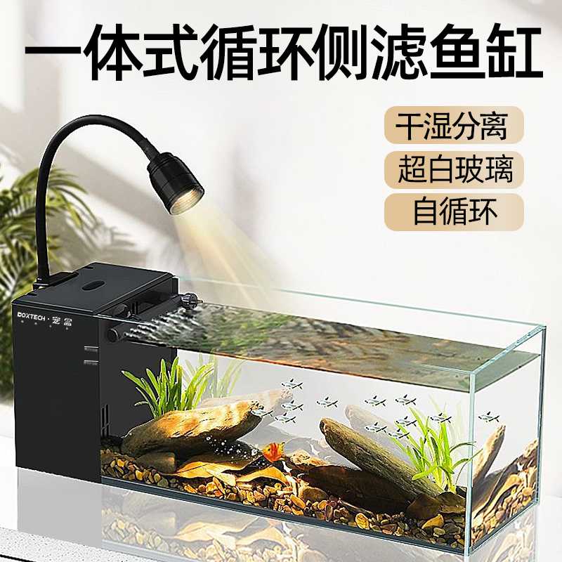 桌面侧滤小鱼缸免换水