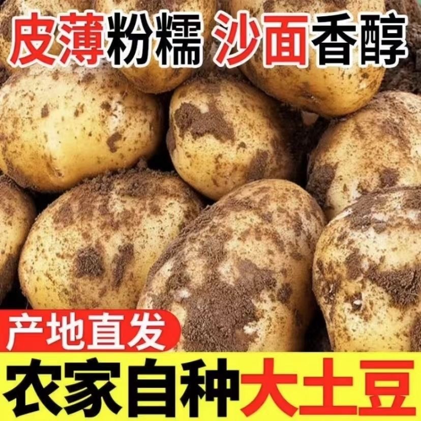 2026年黄心大果土豆哪个牌子好，黄心大果土豆十大品牌排行榜与选购避坑指南