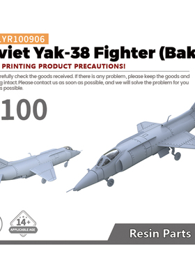 LYR100906 1/100 军事模型 苏联 雅克-38 战斗机（巴库)  1pc
