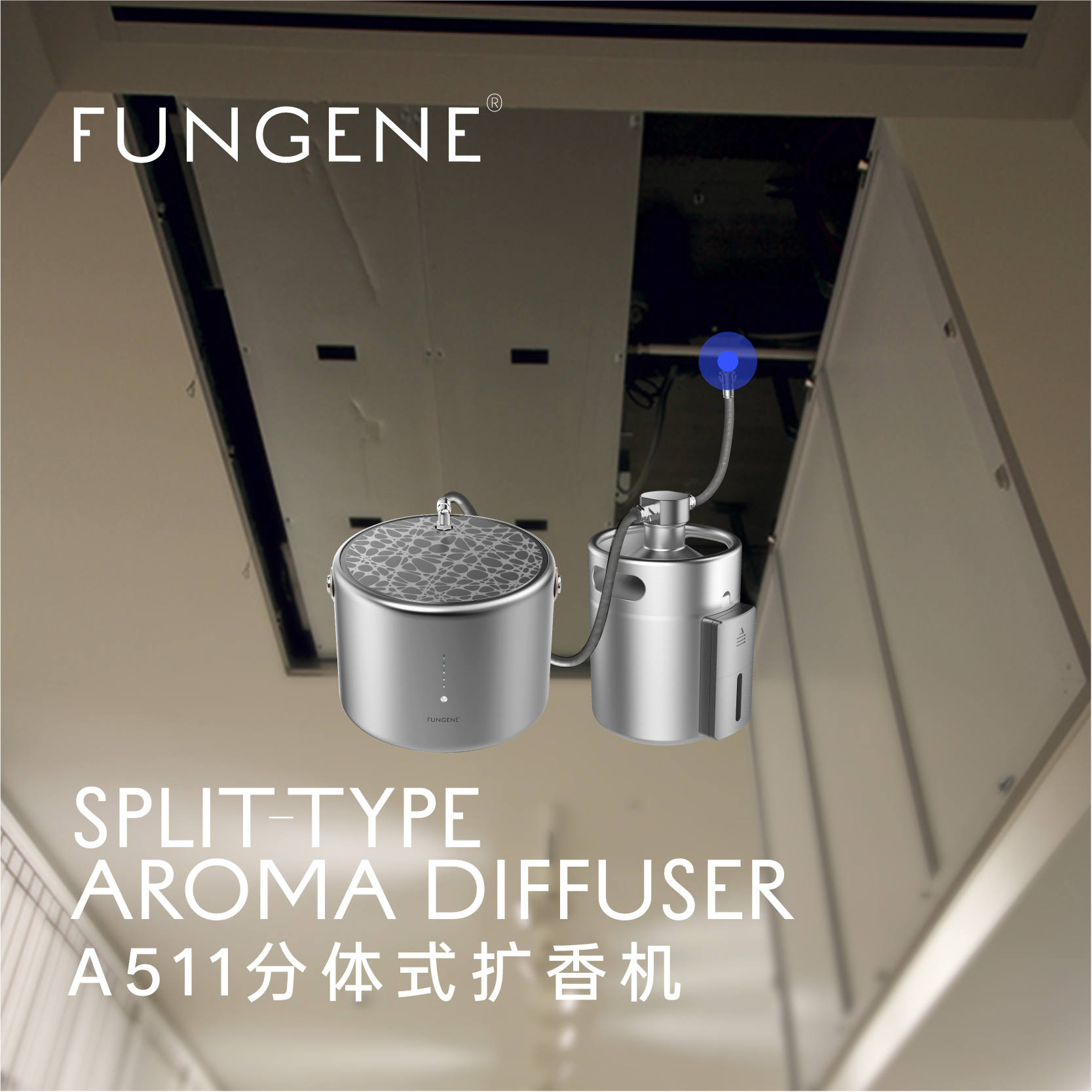 FUNGENE梵吉尼A511分体式扩香机