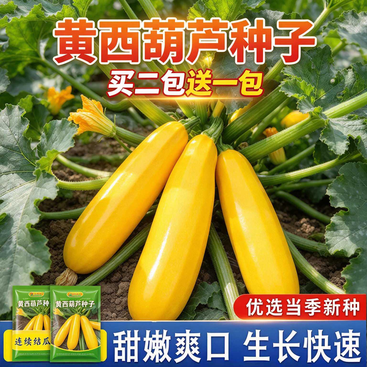【买二送一】黄西葫芦种子茭瓜种子室外阳台盆栽春秋易种蔬菜种子