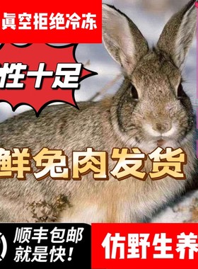 散养灰兔肉新鲜整只溜达兔肉仿野生养殖白条兔子肉兔肉兔子肉