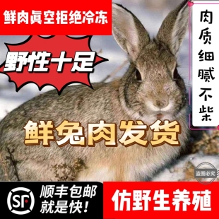 散养灰兔肉新鲜整只溜达兔肉仿野生养殖白条兔子肉兔肉兔子肉