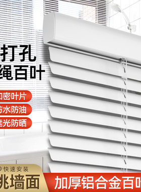 ZSTARR无绳百叶窗帘 免打孔浴室卫生间防水百叶帘遮阳遮光帘定制