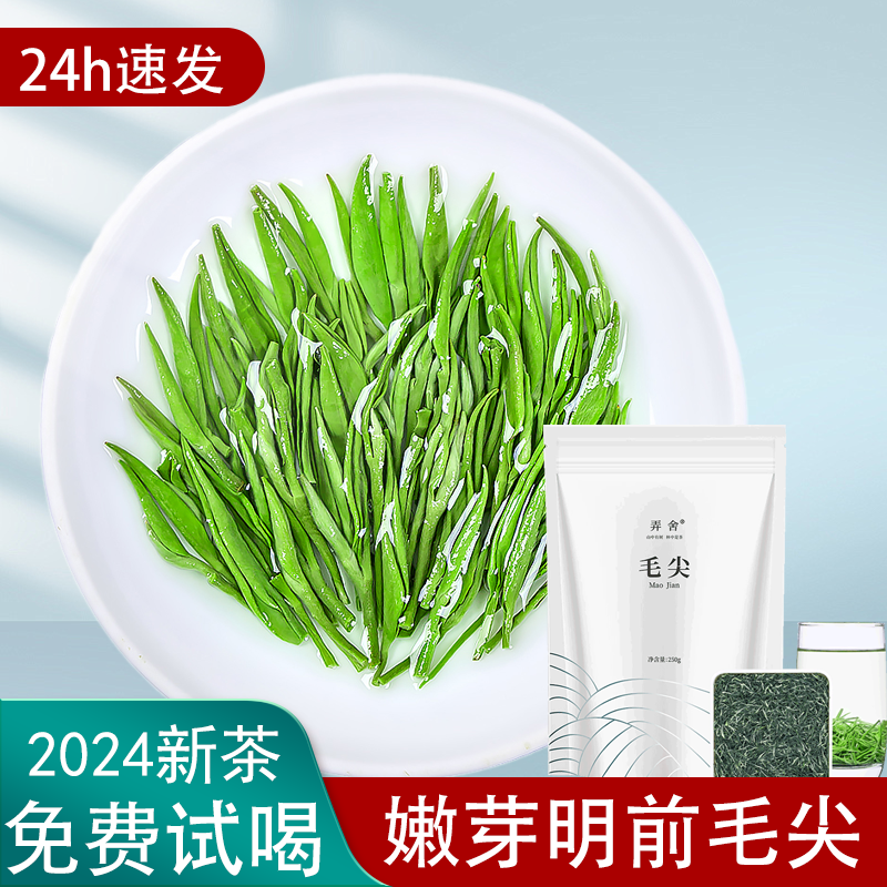 毛尖茶叶2024新茶绿茶炒青嫩芽250g一级高山云雾明前茶浓香型春茶