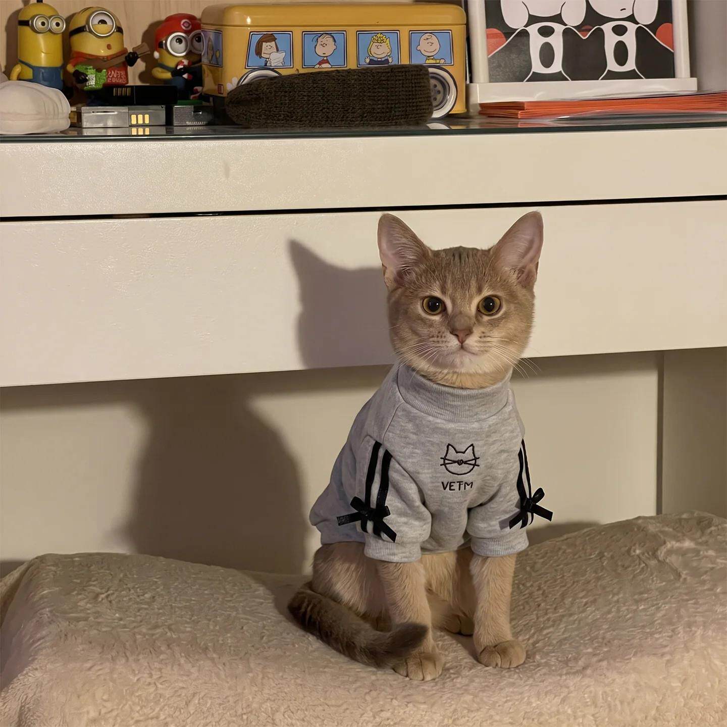 猫咪衣服德文阿比西尼亚猫衣服秋冬装防掉毛2026新款宠物两脚衣
