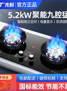 'SAST/先科煤气灶双灶家用天然气台式液化气嵌入式燃气灶九腔猛火