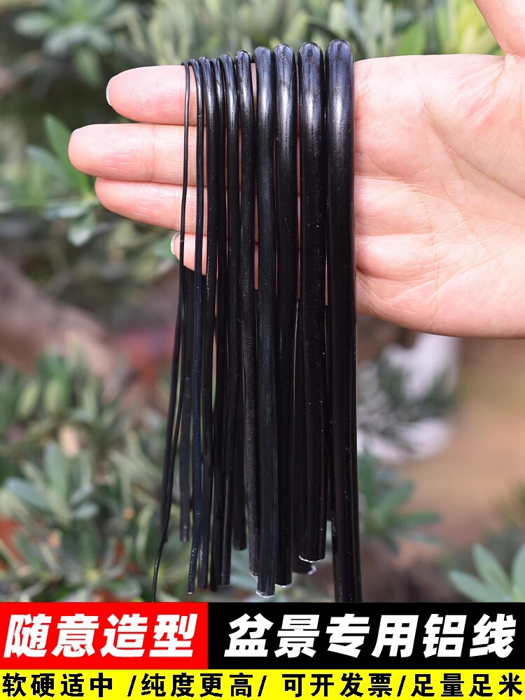 盆景造型专用铝丝铝线蟠扎罗汉松定型套装园艺花卉植物黑铝条丝线