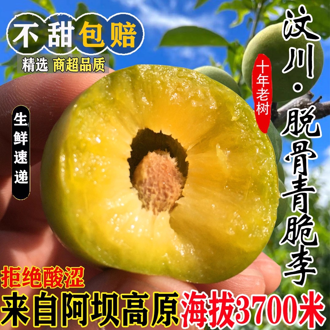 京东特级大果四川茂县青脆脱骨李蜜脆李脆甜李子新鲜孕妇水果5斤