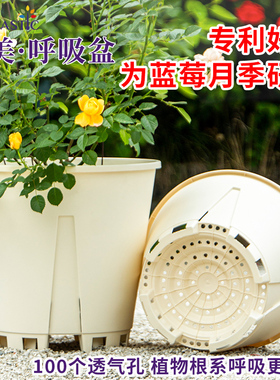 爱美蓝莓种植专用7加仑特大号青山控根透气呼吸月季果树塑料花盆