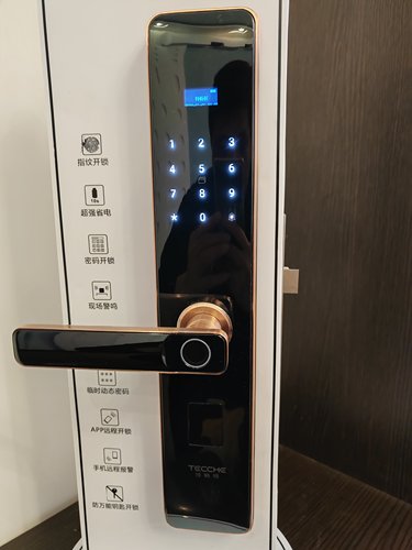 （摇控智能锁选配）特畅恒密码锁 A20D 指纹锁 家用 民宿 公寓