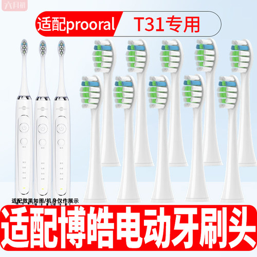 适配博皓T31电动牙刷替换头