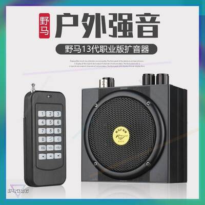 2023新款13职业版扩音器无线户外多功能蓝牙遥控播放器