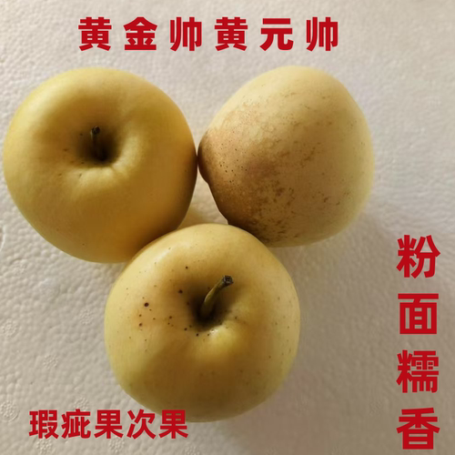 正宗山东烟台黄金帅黄元帅黄香蕉苹果新鲜水果粉面苹果香甜微瑕疵