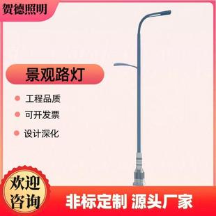 单双臂市电路灯 市政路灯8米9米10米高低臂路灯杆 户外照明火箭灯
