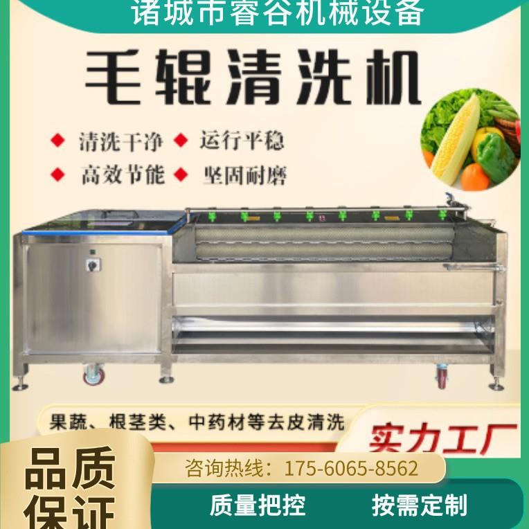 马蹄仔姜南瓜商用毛刷辊清洗去皮机红薯萝卜土豆猪头红枣抛光机器