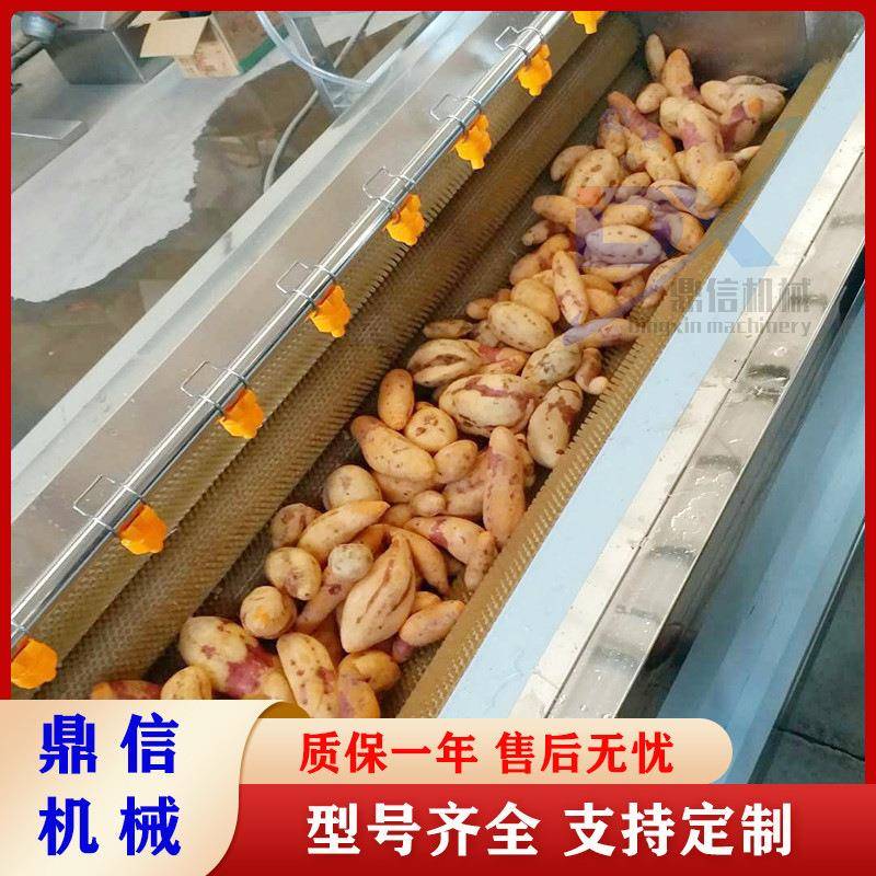 生姜毛辊去皮机 药材毛刷清洗设备 圆葱洋葱清洗机器 生产厂家