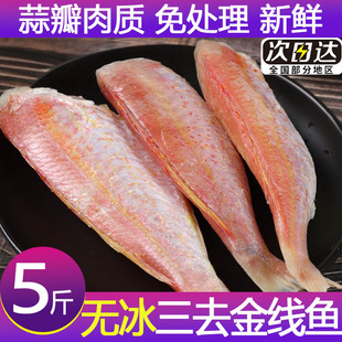 金线鱼三去速冻金线鱼无冰金线鱼批发红杉鱼海鲜水产商用整箱顺丰